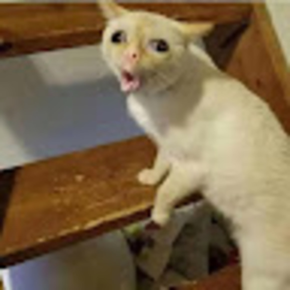 Meet your Posher, Senora - Picture 1 of 1